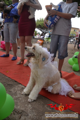 afotorm